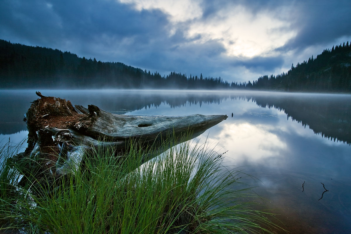 “Cryptic Reflection” | Mt Rainier National Park – Ashford, Washington