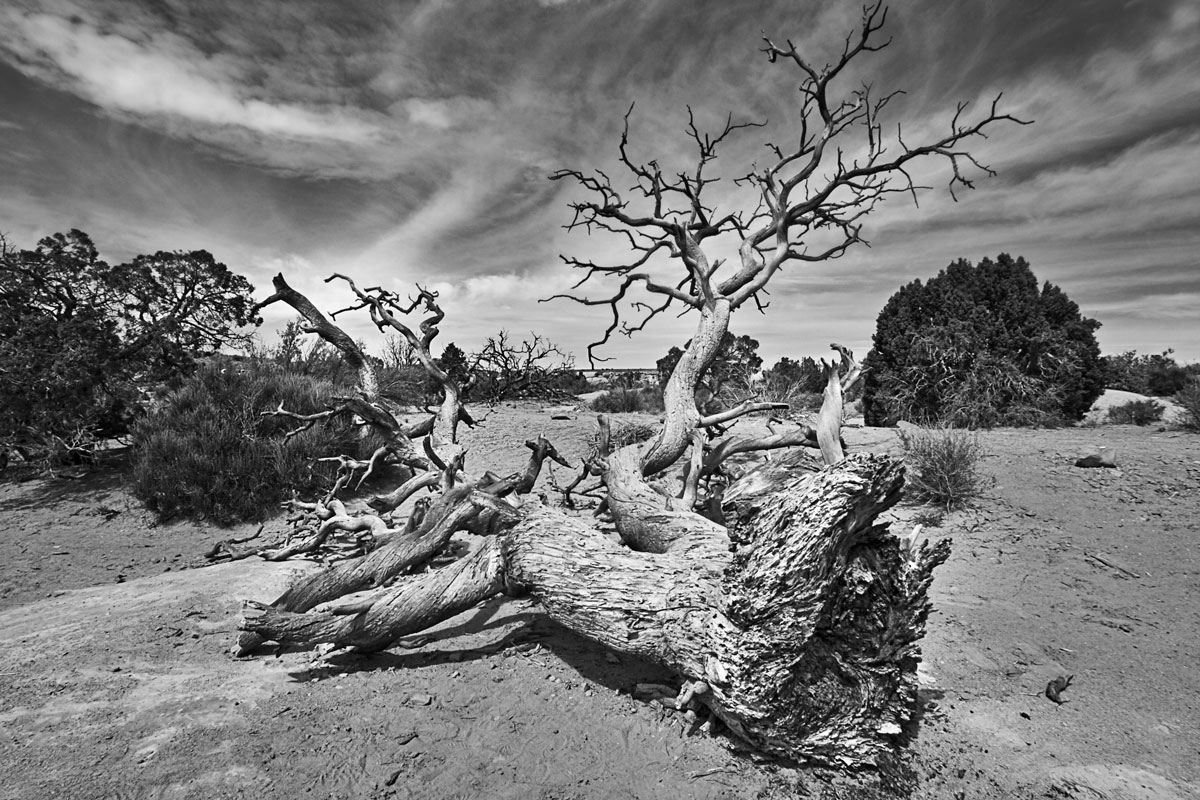 “Left Behind” | Canyonlands National Park, Moab, Utah