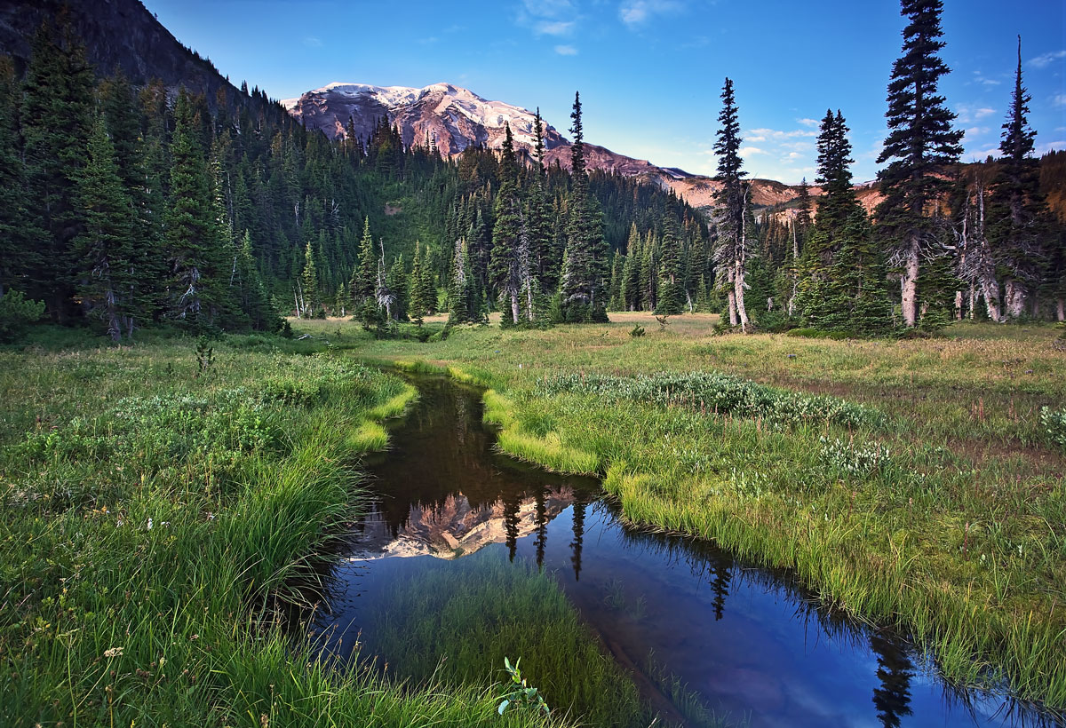“Nature Composed” Mt Rainier National Park – Mineral, Washington