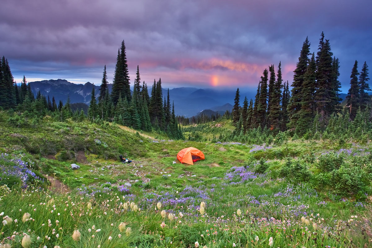 “OZ” | Mt Rainier National Park – Ashford, Washington