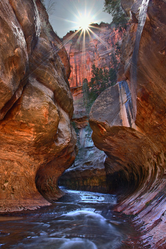 “Sun Above” | Zion National Park – Hurricane, Utah