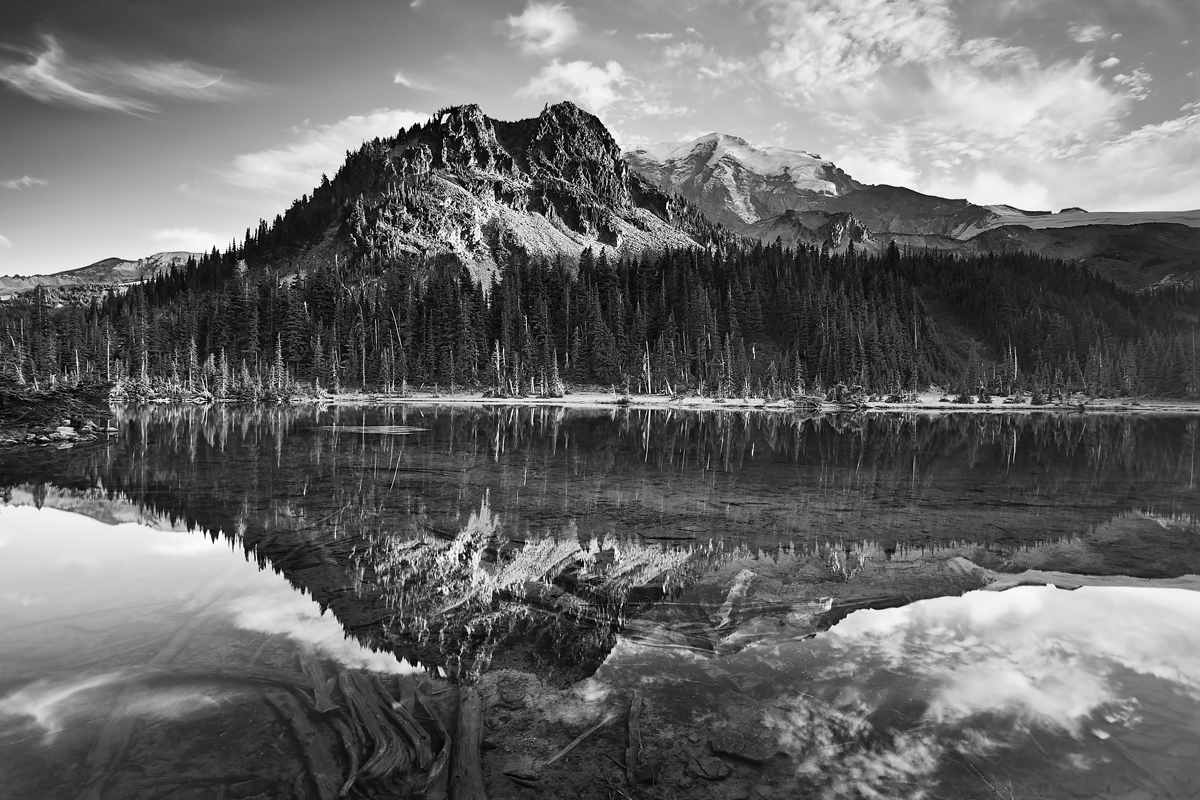 “Untitled” | Mount Rainier National Park – Mineral, Washington