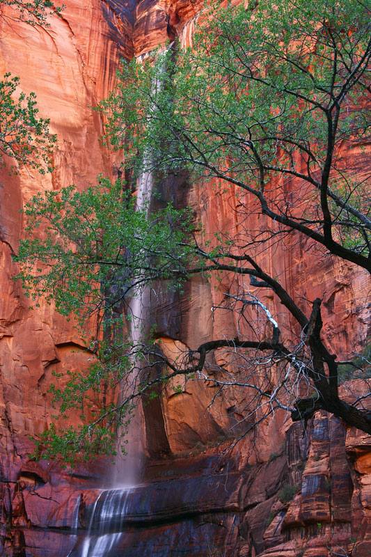 “Water Fall” | Zion National Park, Hurricane, Utah