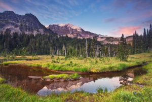 Backcountry Beauty Mt Rainier National Park