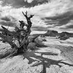 The Gate Keeper Canyonland National Park Utah