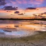 Colliers Pond Grand Cayman Island Colliers Pond Grand Cayman Island