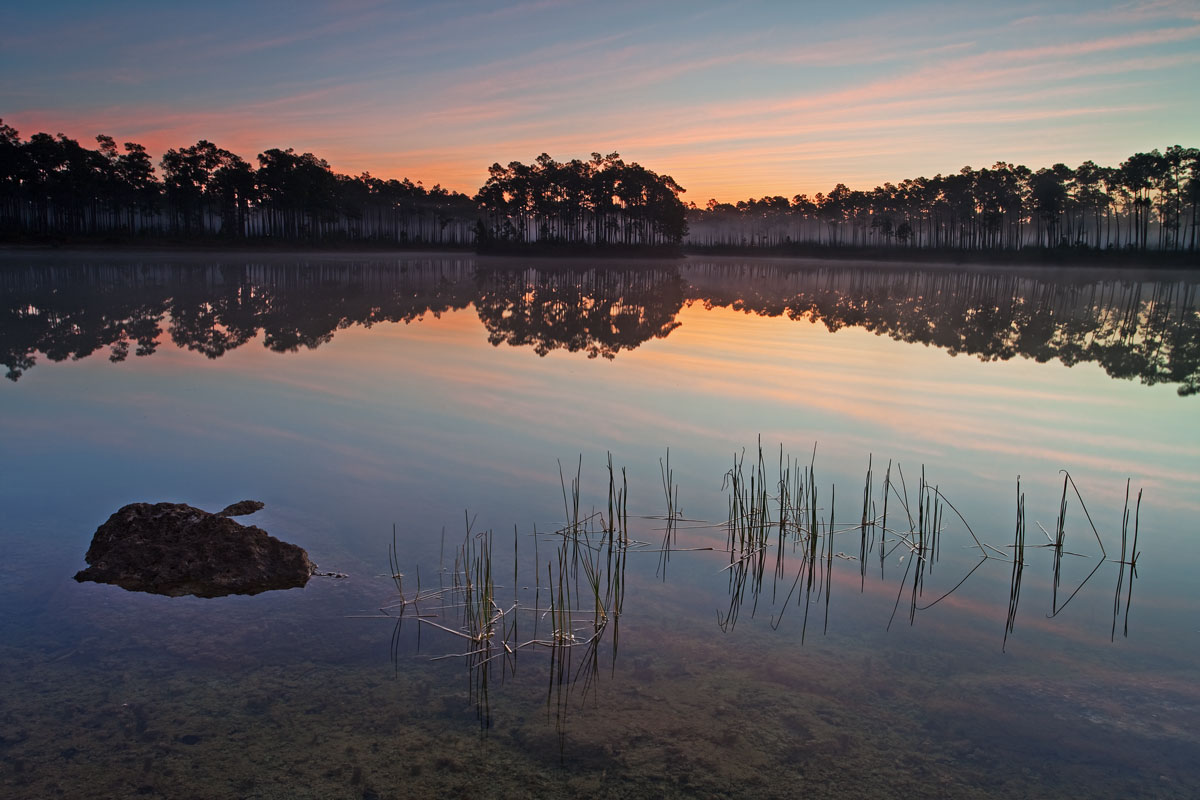 Long Pine Everglades Sunrise