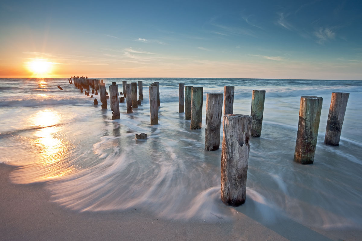 The Gulf Coast