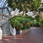 Franklin Park Conservatory Palm Field House Franklin Park Conservatory Palm Field House
