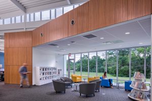 Shepard Library Windows