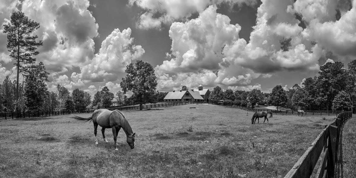 Serenbe Farms